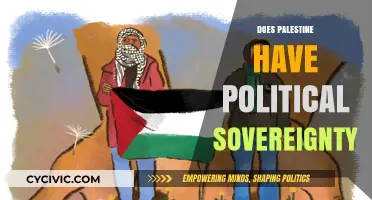 Does Palestine Have Political Sovereignty? Exploring the Complex Reality