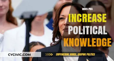 Does PBS Enhance Political Knowledge? Exploring Public Broadcasting's Impact