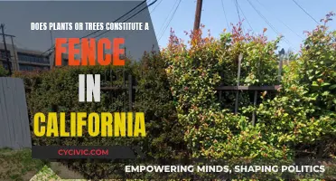 California's Green Fence: Plants and Trees as Boundaries