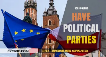 Exploring Poland's Political Landscape: Do Parties Shape Its Democracy?