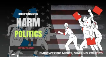 Polarization's Impact: How Division Undermines Political Progress and Unity