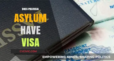 Understanding Political Asylum: Visa Requirements and Legal Processes Explained