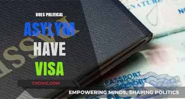 Understanding Political Asylum: Visa Requirements and Legal Processes Explained