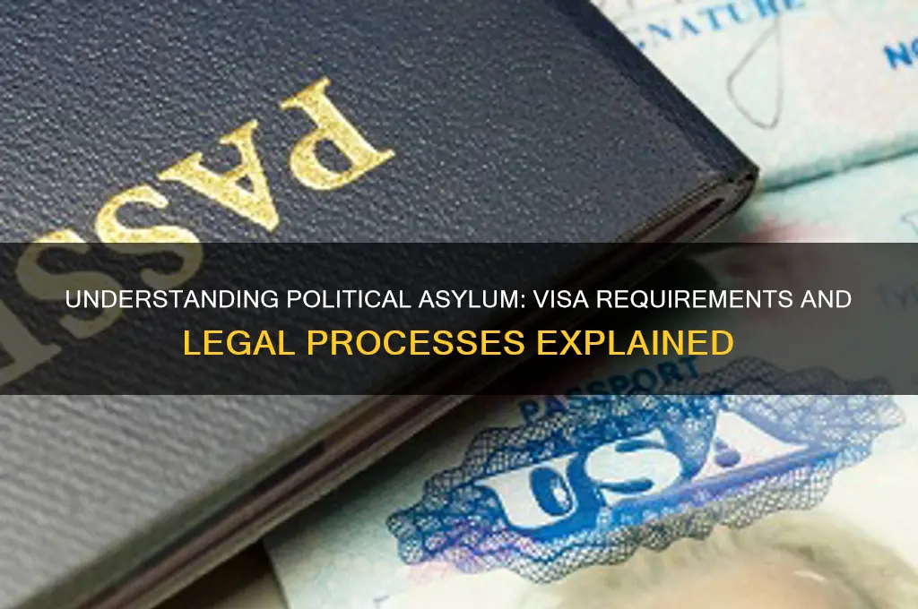 does political asylym have visa