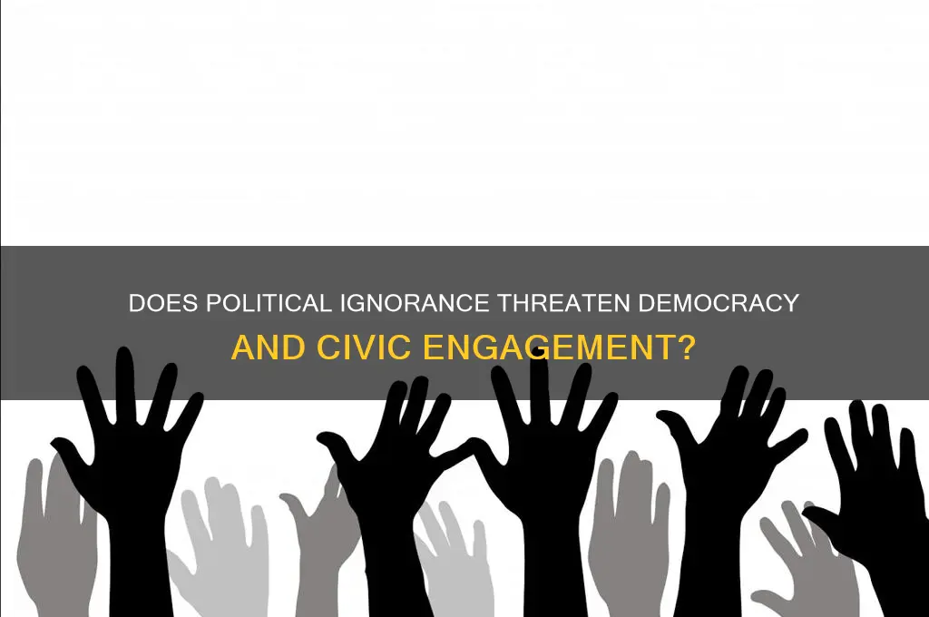 does political ignorance matter