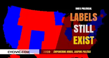 Do Political Labels Still Matter in Today's Polarized Landscape?