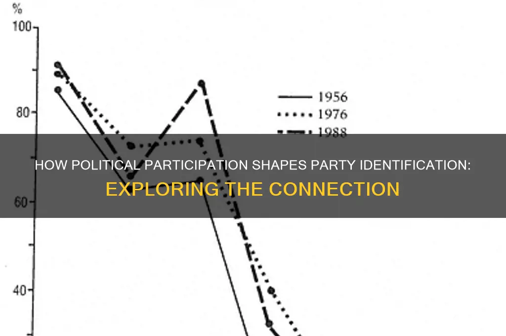 does political participation influence party identification