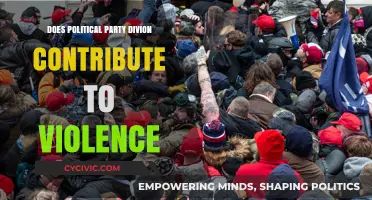 Political Party Divisions: Fueling Violence or Democratic Norm?