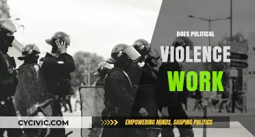 Does Political Violence Achieve Goals or Fuel Endless Conflict?