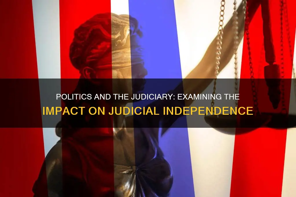 does politics effect the judiciary