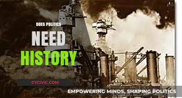 Does Politics Need History? Exploring the Past's Role in Shaping Policy