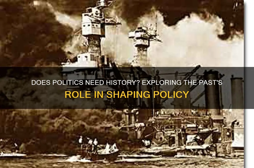 does politics need history
