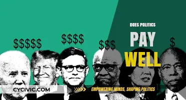 Does Politics Pay Well? Exploring the Financial Rewards of Public Service