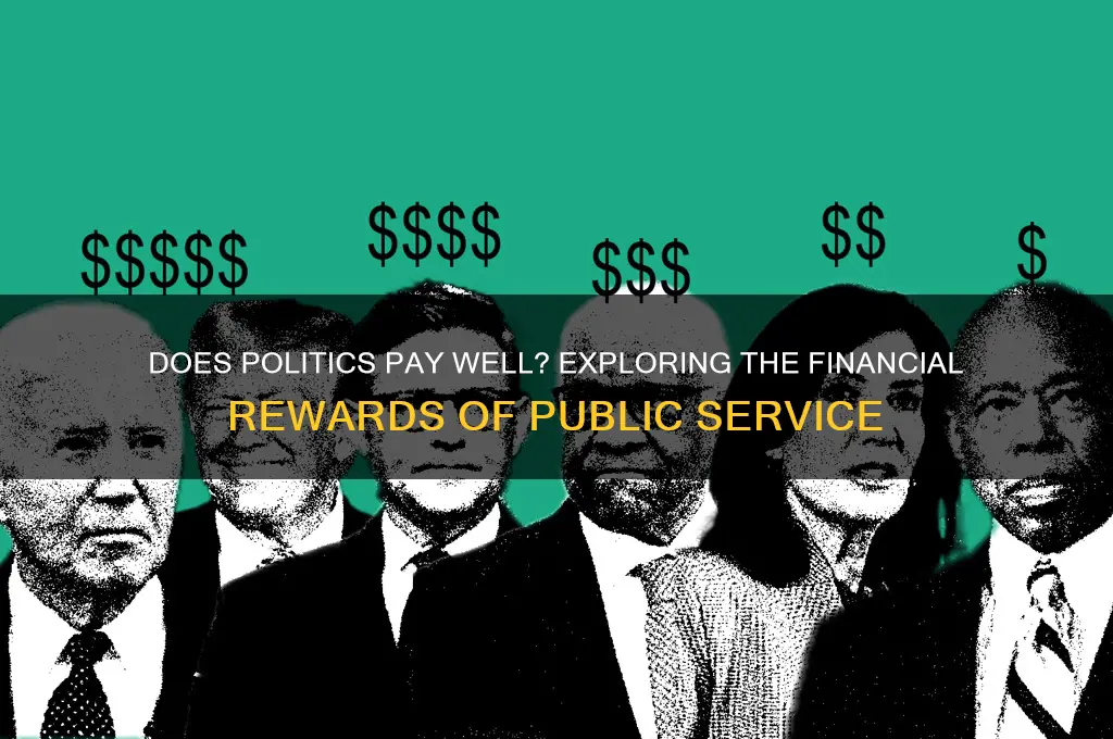 does politics pay well