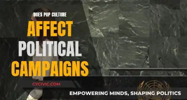 Pop Culture's Political Sway: Impact on Campaigns