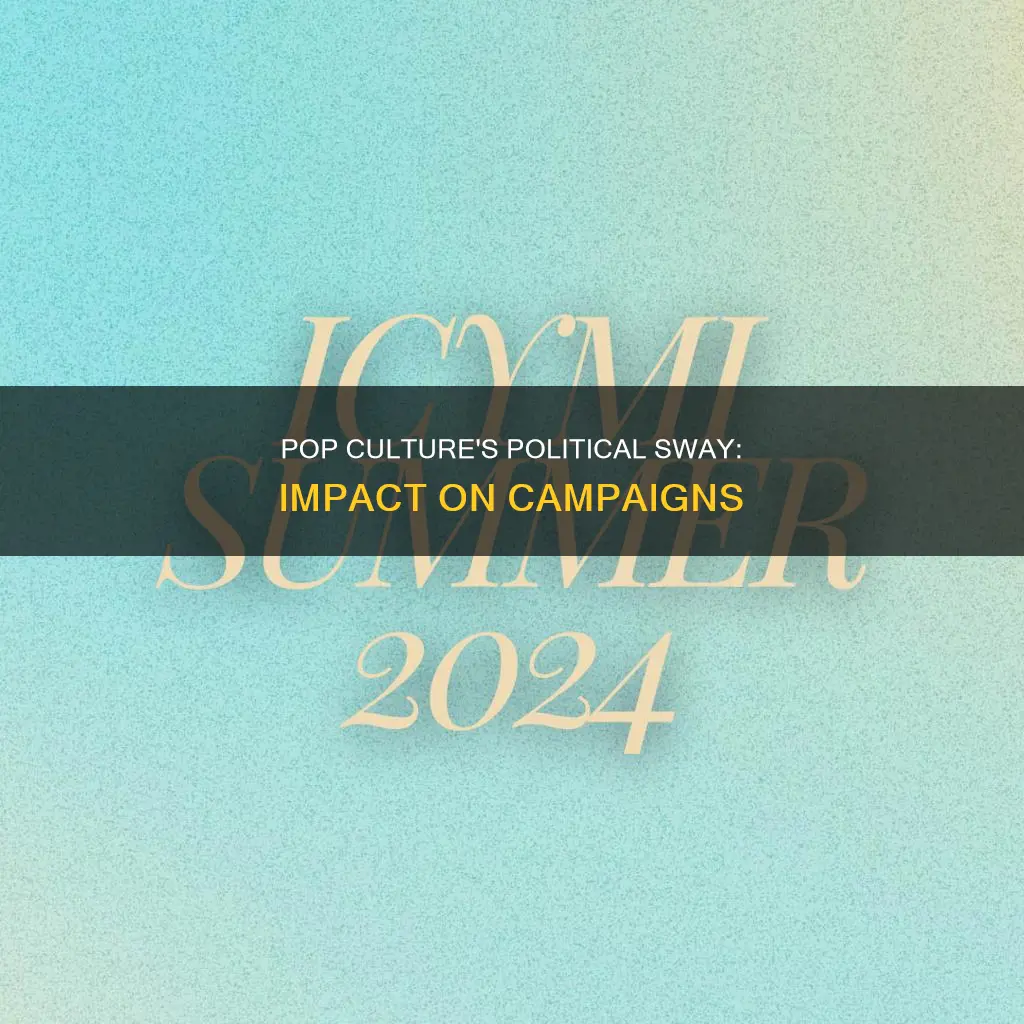 does pop culture affect political campaigns