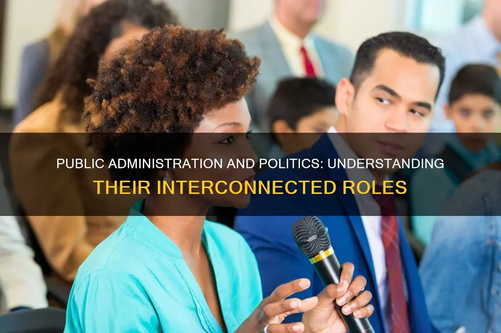does public admin include politics