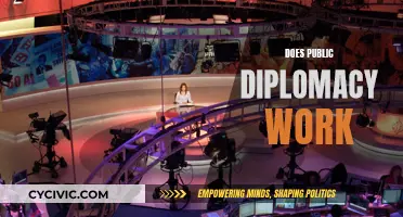 Public Diplomacy: Effective or Wasteful Effort?