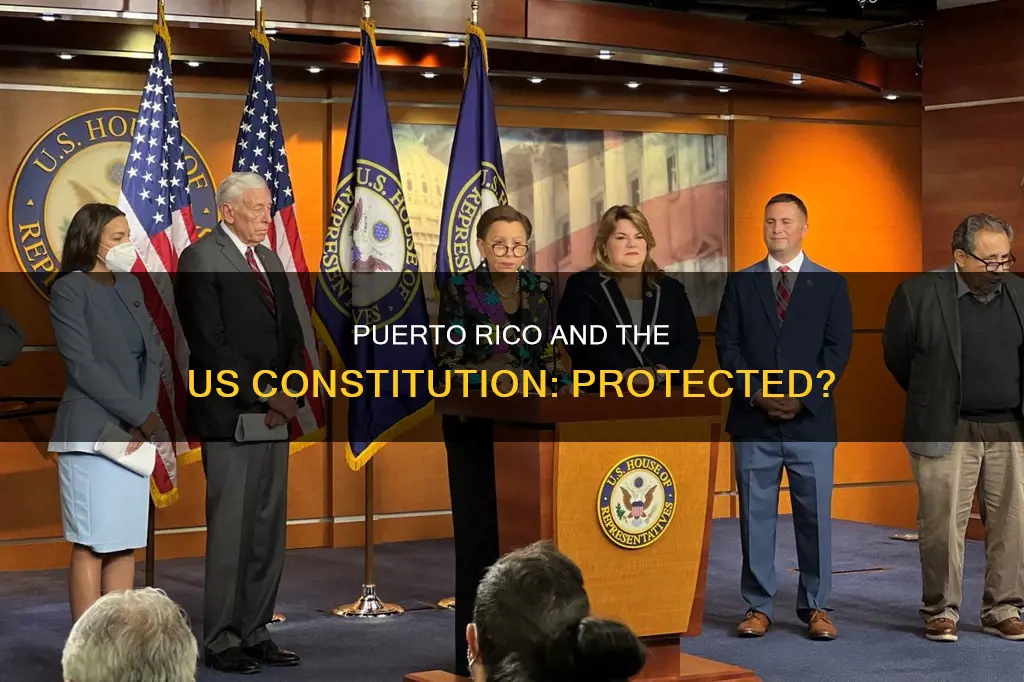 does puerto rico fall under protection of us constitution