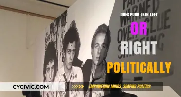 Punk Politics: A Spectrum of Rebellion and Ideology