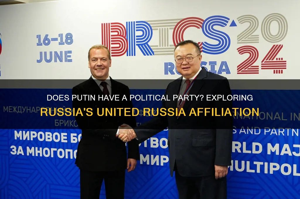 does putin have a political party