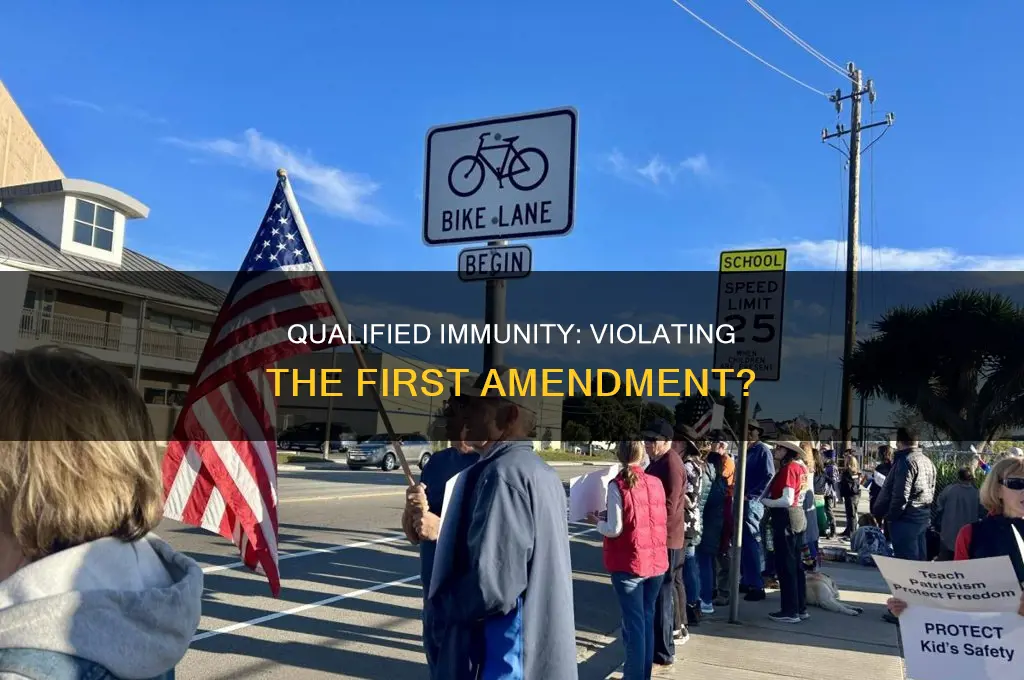 does qualified mean violate the first amendment of constitution