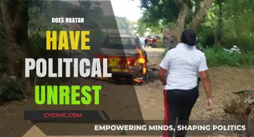 Exploring Roatan's Political Climate: Unrest, Stability, and Tourist Safety Concerns