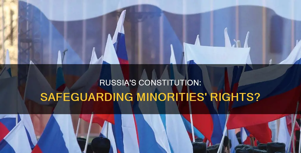 does russia constitution protect minorities