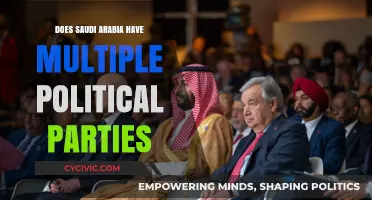 Saudi Arabia's Political System: Exploring the Absence of Multiple Parties