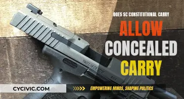 South Carolina's Constitutional Carry: Understanding Concealed Carry Laws
