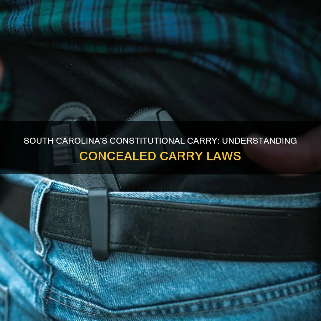 does sc constitutional carry allow concealed carry