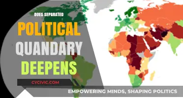 Separated Political Quandary: Deepening Divisions and Their Global Implications