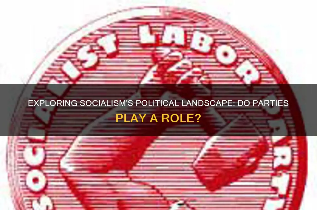 does socialism have political parties