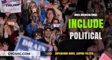 Does Sociocultural Theory Encompass Political Dynamics? A Critical Analysis