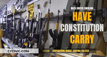 South Carolina's Constitutional Carry: What's the Law?