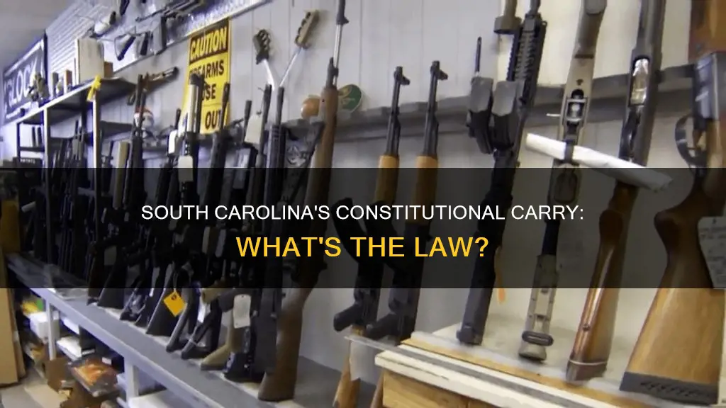 does south carolina have constitutional carry