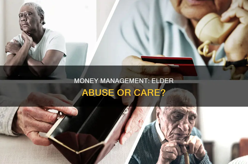 does taking care of someones money completely constitute elder abuse