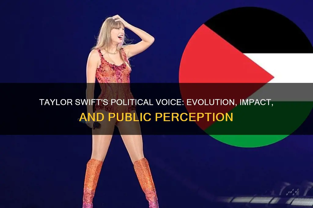 does taylor swift talk politics