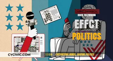 How Television Shapes Political Opinions and Voter Behavior