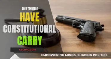 Tennessee's Constitutional Carry: What's the Law?