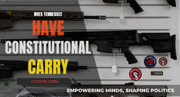 Tennessee's Constitutional Carry: What You Need to Know