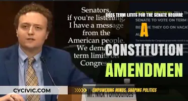 Term Limits for Senators: Constitutional Amendment Needed?