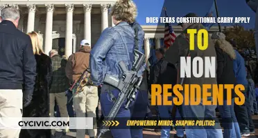 Texas Constitutional Carry: Non-Resident Application Explained