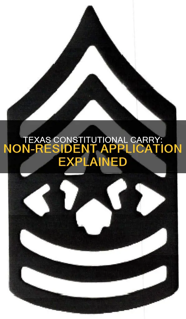 does texas constitutional carry apply to non residents