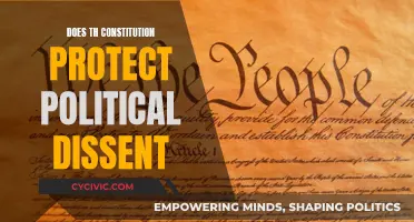 Political Dissent: Constitutional Safeguards and Limits