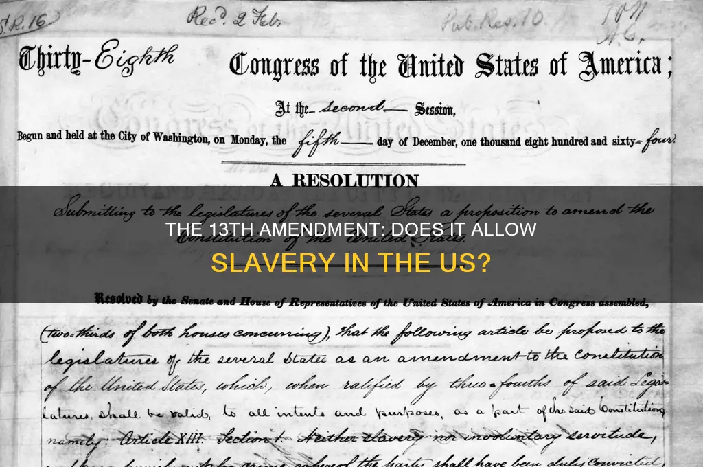 does the 13th amendment to the us constitution allow slavery