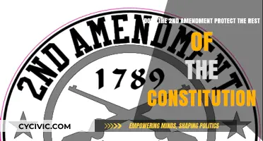 The Second Amendment: Guardian of Constitutional Freedoms?