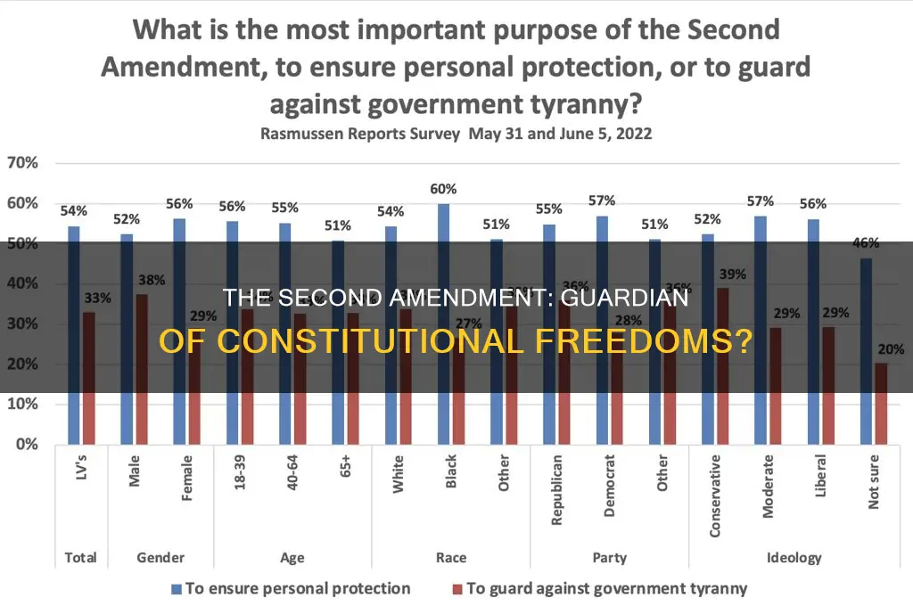 does the 2nd amendment protect the rest of the constitution