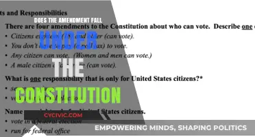 Amendments: Understanding Their Constitutional Standing