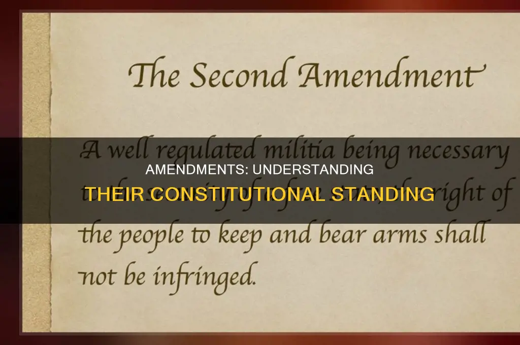 does the amendment fall under the constitution
